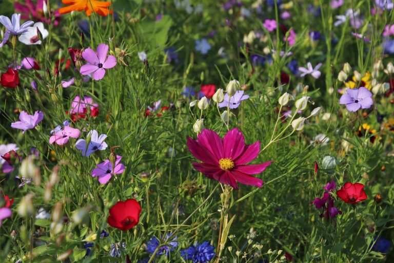 Tips for Gardening in Small Spaces: Maximizing Your Green Thumb