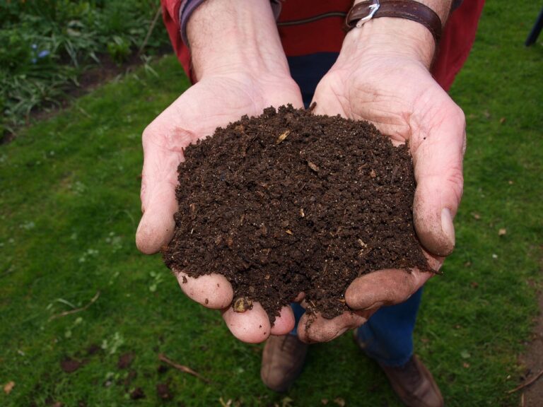 The Benefits of Composting: Enriching Soil and Reducing Waste