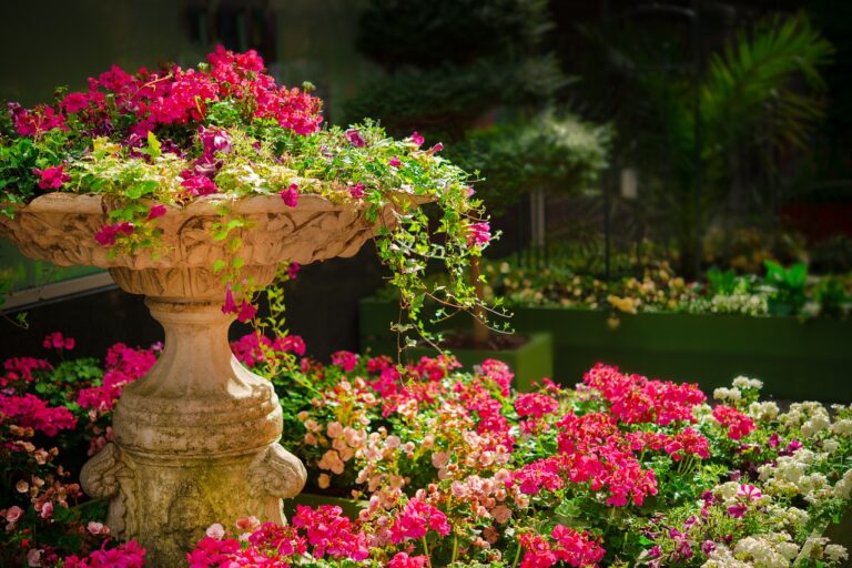 How to Create a Beautiful Flower Garden: A Step-by-Step Guide