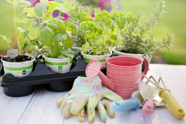 Top 10 Gardening Tools You Need: Essential Gear for Every Gardener